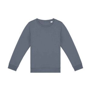 Native Spirit Childrens/Kids Sweatshirt / Mineral Grey